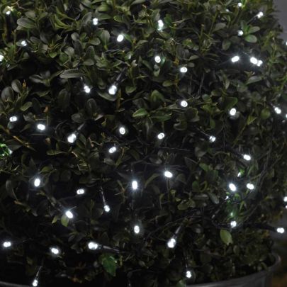 100 Ice White LEDs